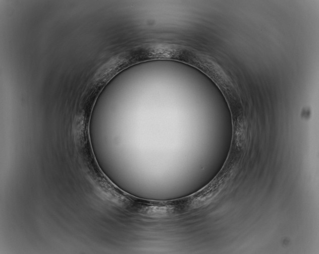 X0000100320314200806121110