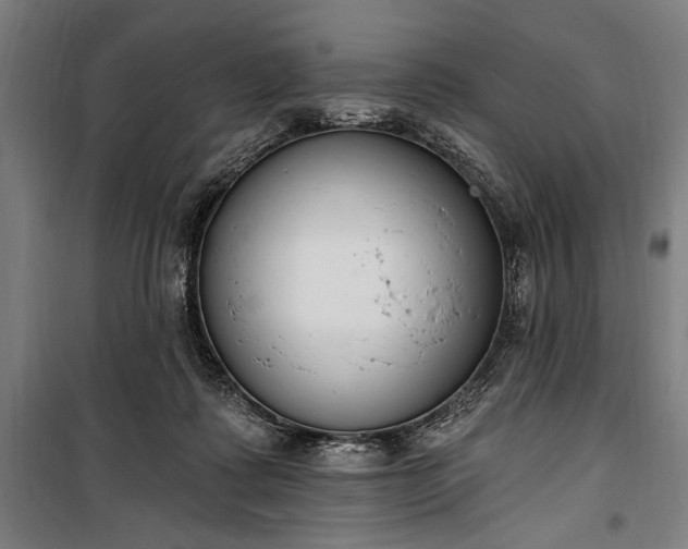 X0000100320315200806121110