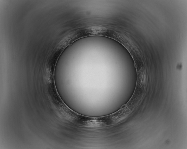 X0000100320316200806121110