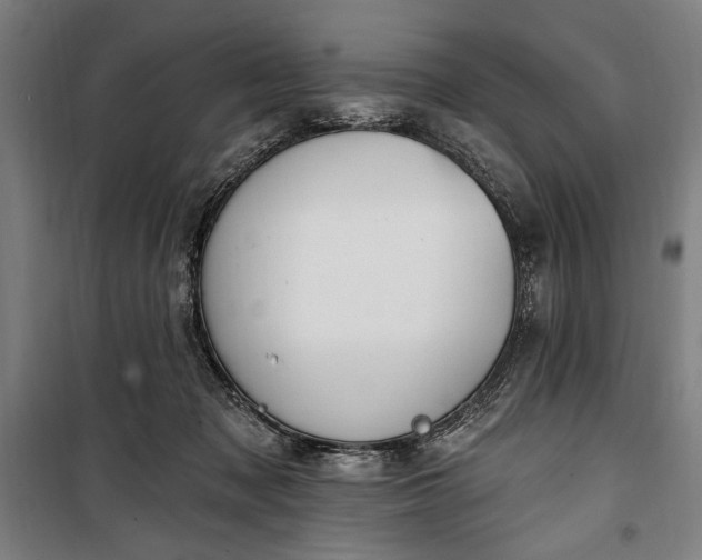 X0000100320317200806121110