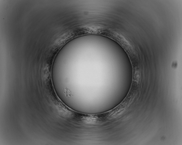 X0000100320318200806121110