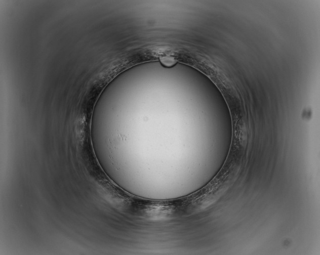 X0000100320319200806121110