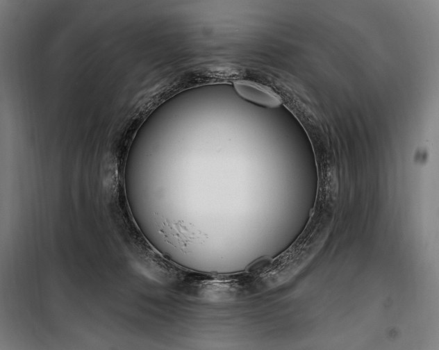 X0000100320320200806121110