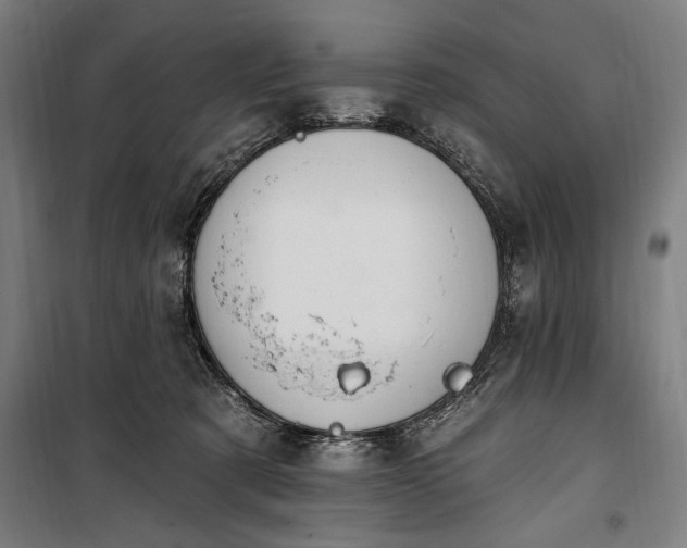 X0000100320321200806121110