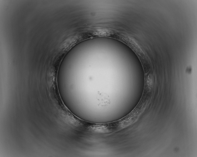 X0000100320322200806121110