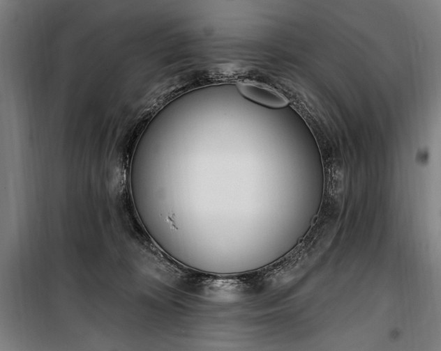 X0000100320324200806121110