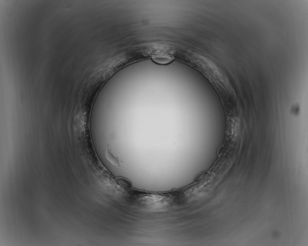 X0000100320326200806121110