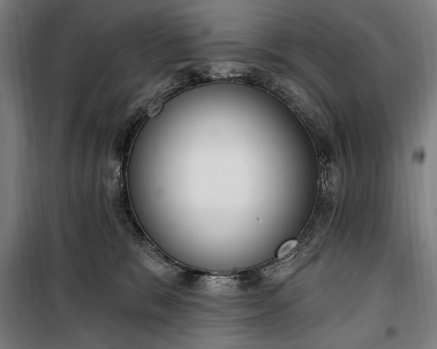 X0000100320327200806121110