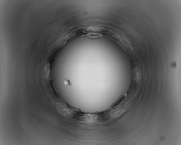 X0000100320328200806121110