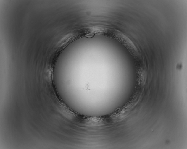 X0000100320329200806121110