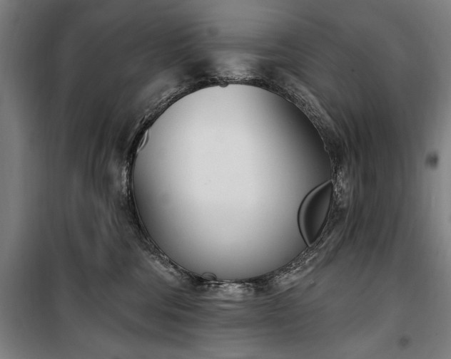 X0000100320330200806121110