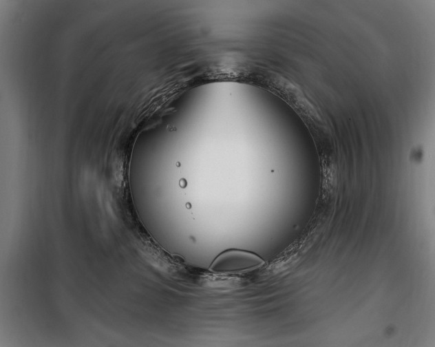 X0000100320331200806121110