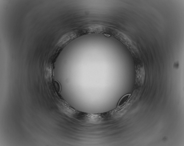 X0000100320333200806121110