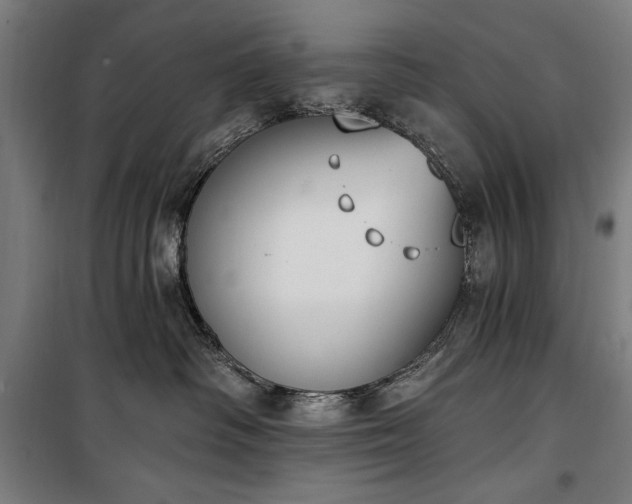 X0000100320334200806121110