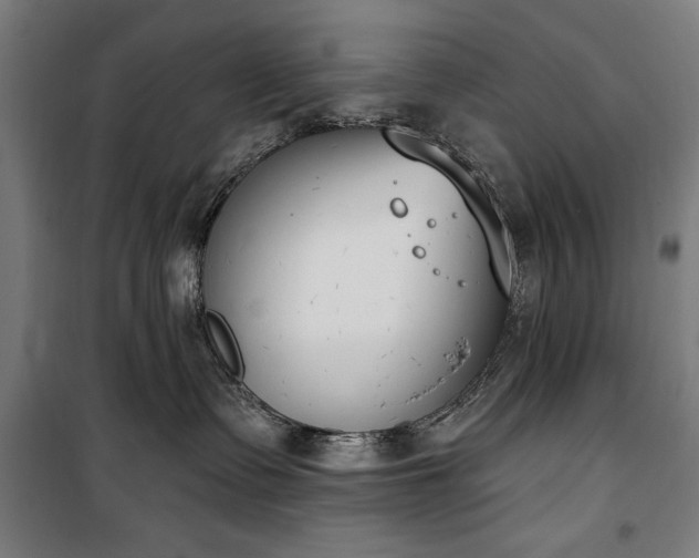 X0000100320335200806121110