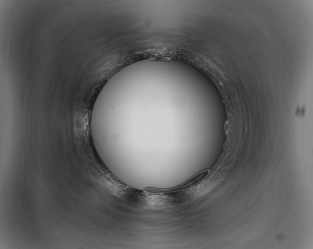 X0000100320336200806121110