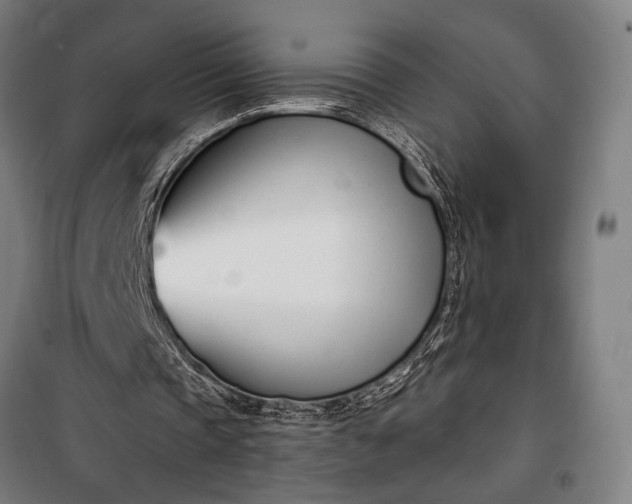 X0000100320337200806121109