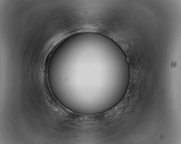 X0000100320338200806121109