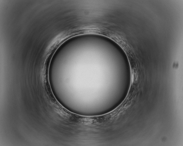 X0000100320339200806121109