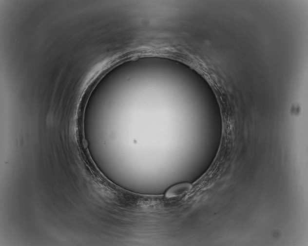 X0000100320340200806121109