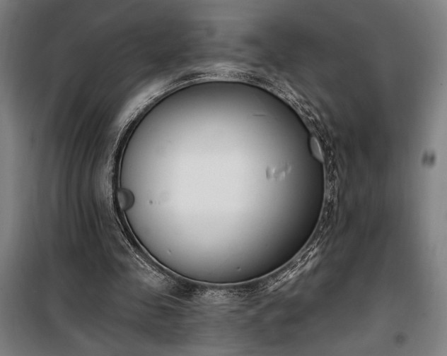 X0000100320341200806121109