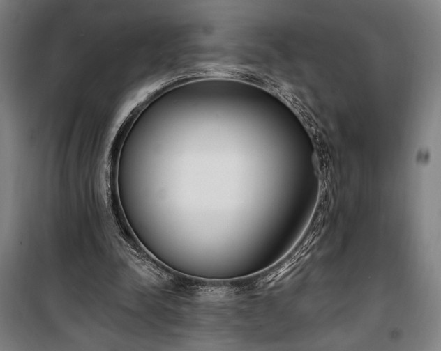 X0000100320342200806121109