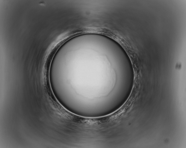 X0000100320343200806121109