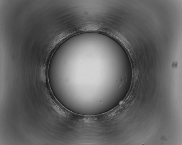 X0000100320345200806121109