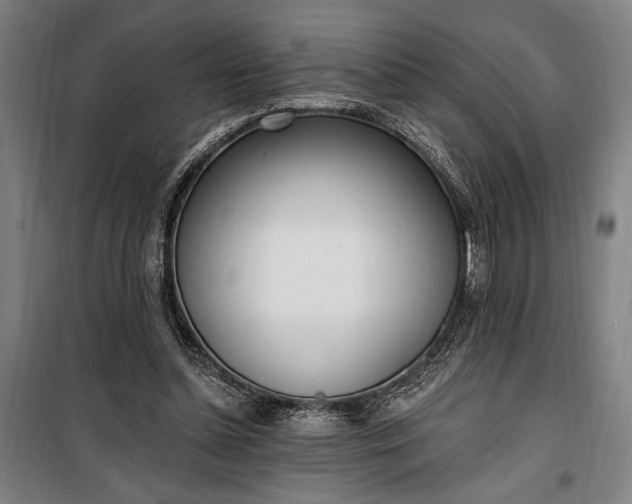 X0000100320348200806121109