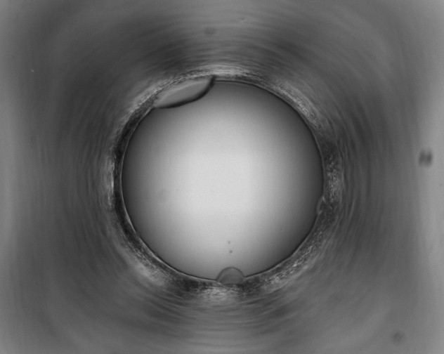 X0000100320350200806121109