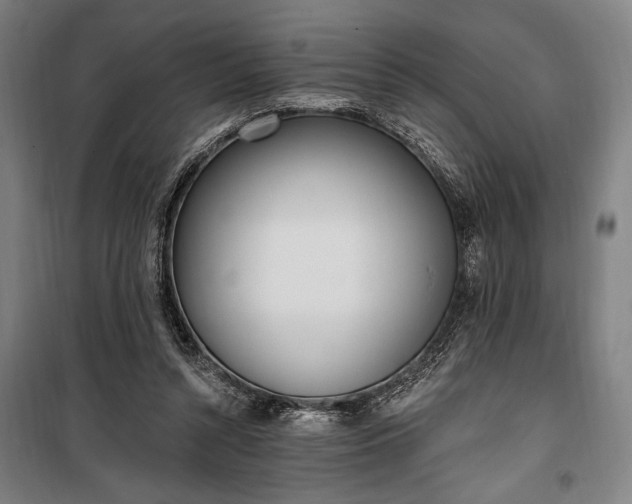 X0000100320352200806121109