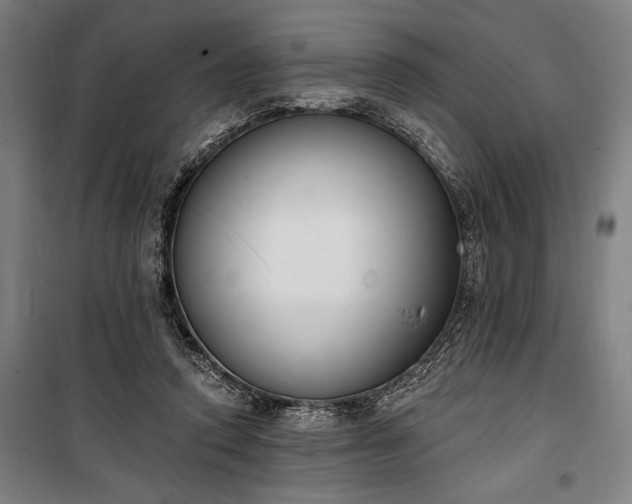 X0000100320354200806121109