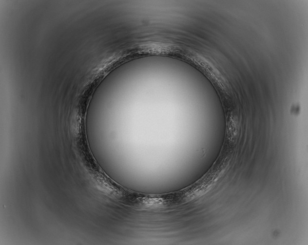 X0000100320355200806121109