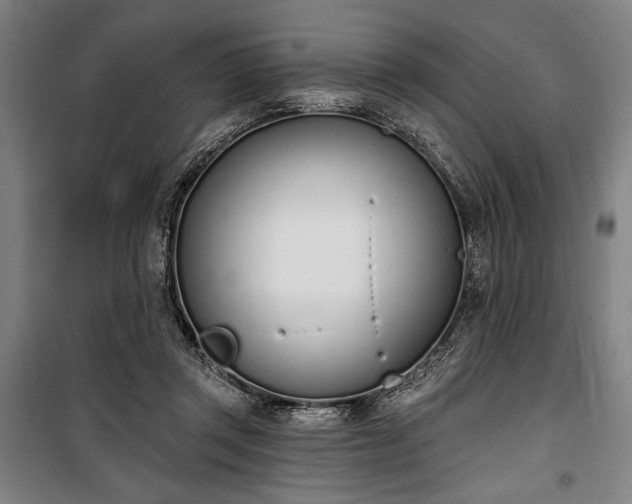 X0000100320357200806121109