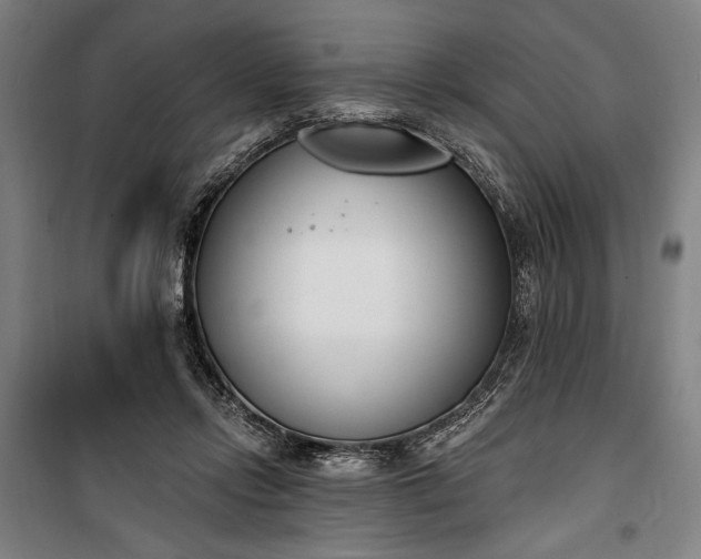 X0000100320358200806121109