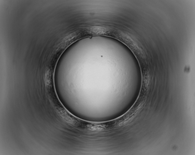 X0000100320359200806121109