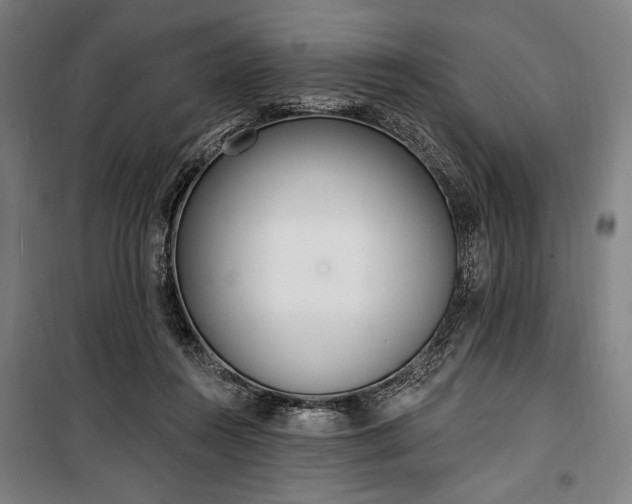 X0000100320360200806121109