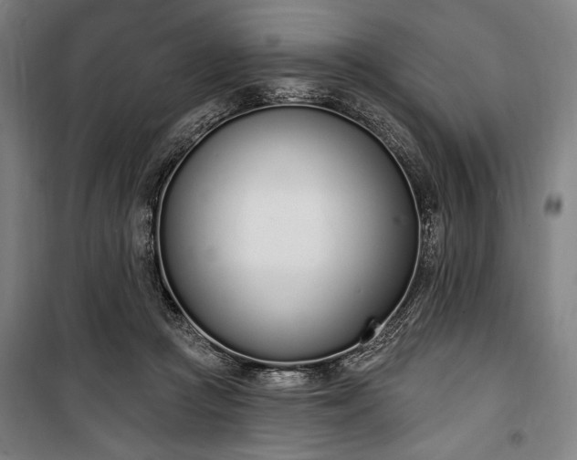 X0000100320361200806121109