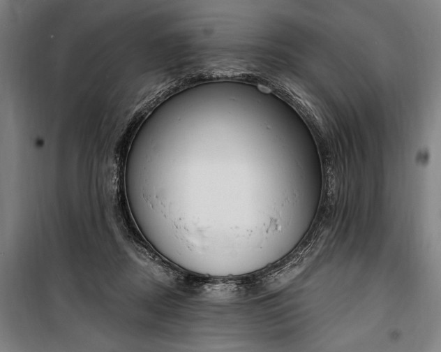 X0000100320362200806121109