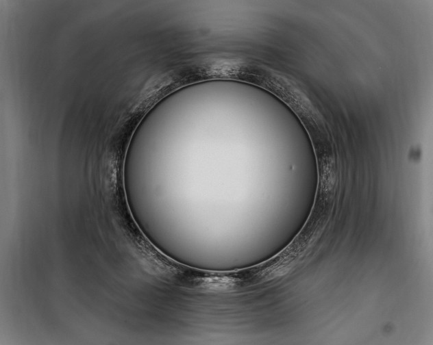 X0000100320363200806121109