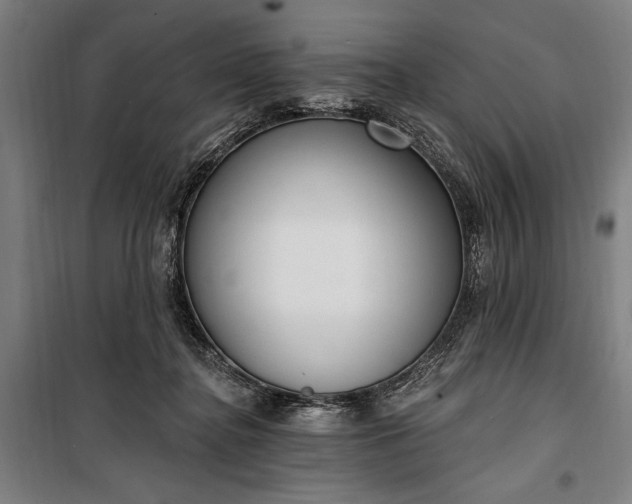 X0000100320364200806121109