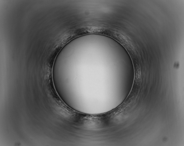 X0000100320367200806121109