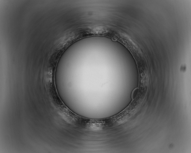 X0000100320368200806121109