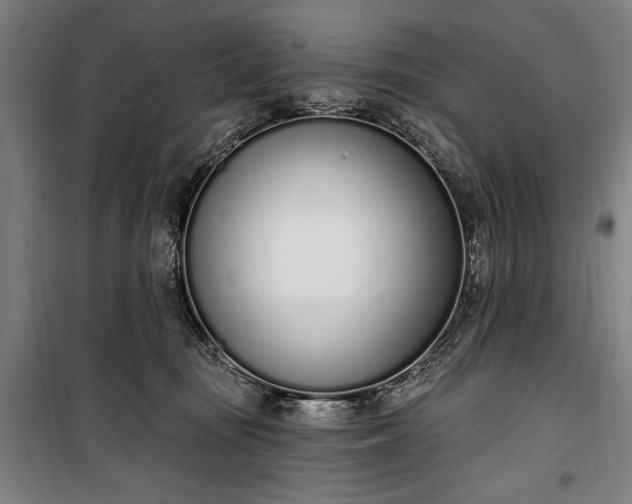 X0000100320371200806121109