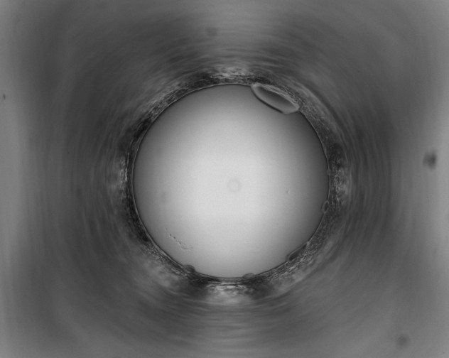 X0000100320372200806121109