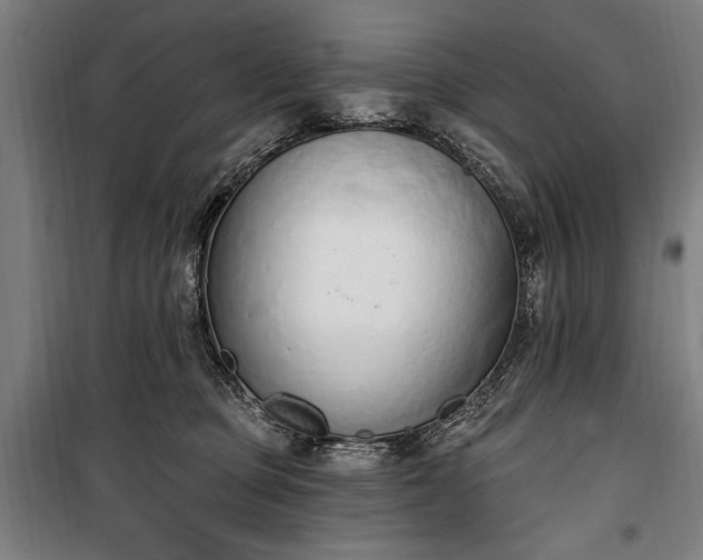 X0000100320373200806121109