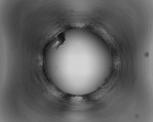 X0000100320374200806121109