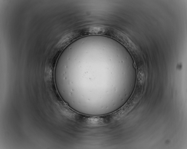 X0000100320375200806121109