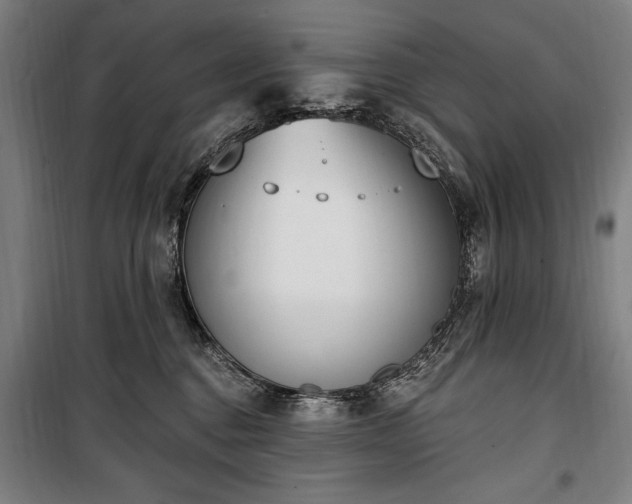 X0000100320376200806121109