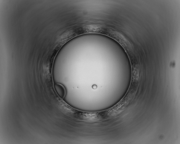 X0000100320377200806121109